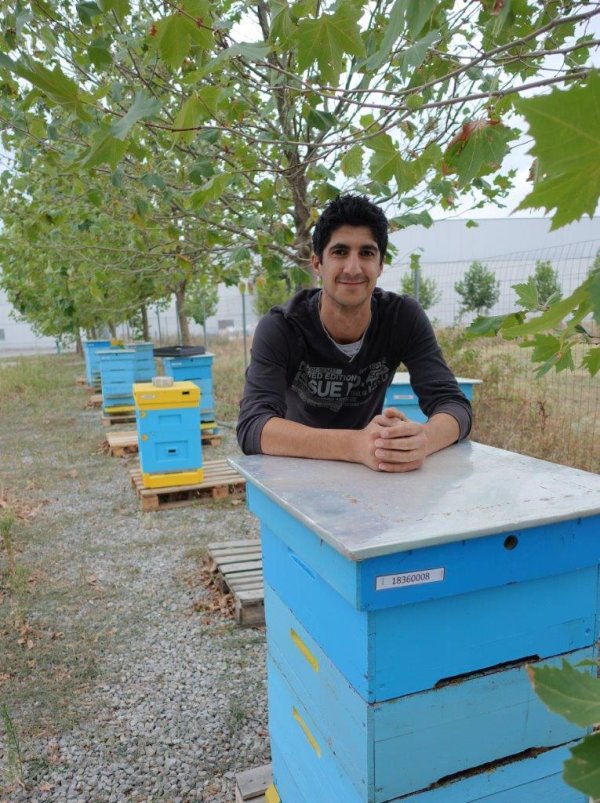 
	Пчелните семейства, настанени на територията на магазините в София, са под грижите на двама пчелари с разлика във възрастта от почти 50 години - Иван Рангелов (77) и Даниел Добрев (28) с еднакъв ентусиазъм приеха отговорната си позиция. Иван притежава 23 кошера в гр. Банкя, а Даниел притежава 30 кошера в с. Сушица, близо до Стражица (откъдето са родом пчелите в проекта).
