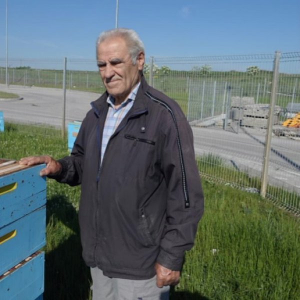 
	Пчелните семейства, настанени на територията на магазините в София, са под грижите на двама пчелари с разлика във възрастта от почти 50 години - Иван Рангелов (77) и Даниел Добрев (28) с еднакъв ентусиазъм приеха отговорната си позиция. Иван притежава 23 кошера в гр. Банкя, а Даниел притежава 30 кошера в с. Сушица, близо до Стражица (откъдето са родом пчелите в проекта).
