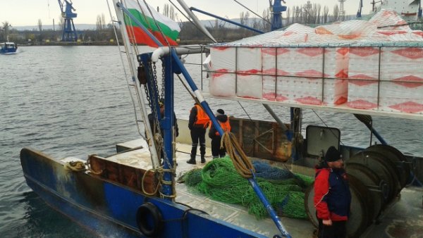 
	Снимка: Ели Маринова, агенция &bdquo;Черно море&ldquo;
