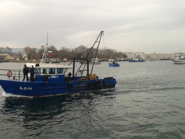 
	Снимка: Ели Маринова, агенция &bdquo;Черно море&ldquo;
