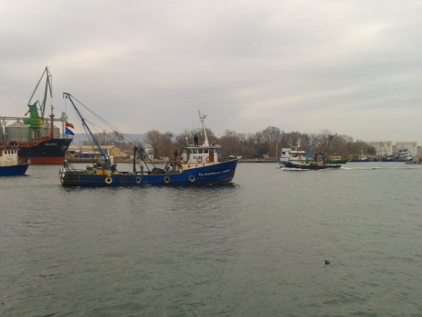 
	Снимка: Ели Маринова, агенция &bdquo;Черно море&ldquo;
