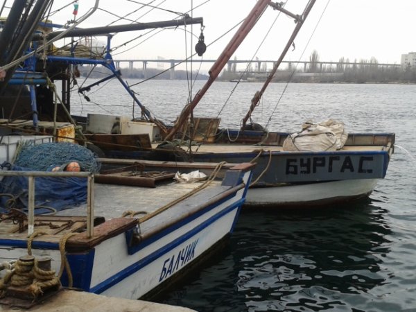 
	Снимка: Ели Маринова, агенция &bdquo;Черно море&ldquo;
