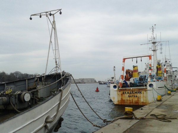 
	Снимка: Ели Маринова, агенция &bdquo;Черно море&ldquo;

