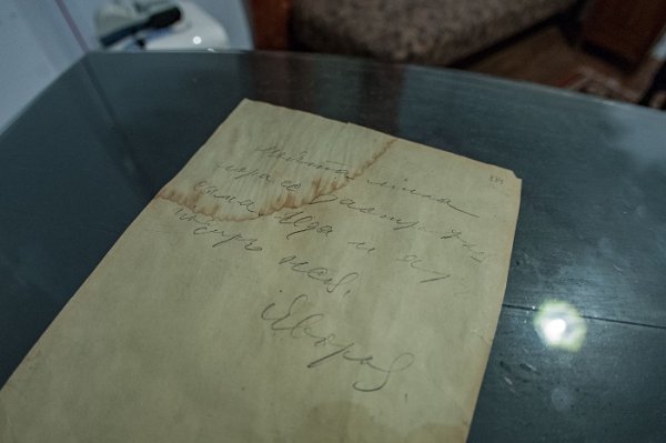 
	Музеят на Яворов. Снимка: Димитър Кьосемарлиев, Investor Media Group
