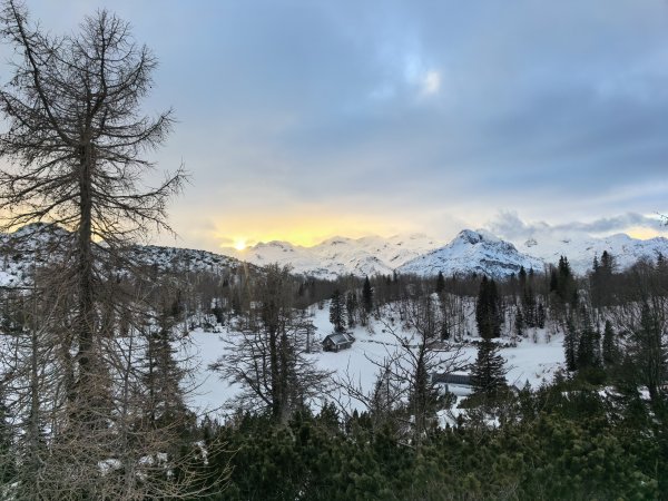 Снимки: Елена Кирилова/Investor Media Group