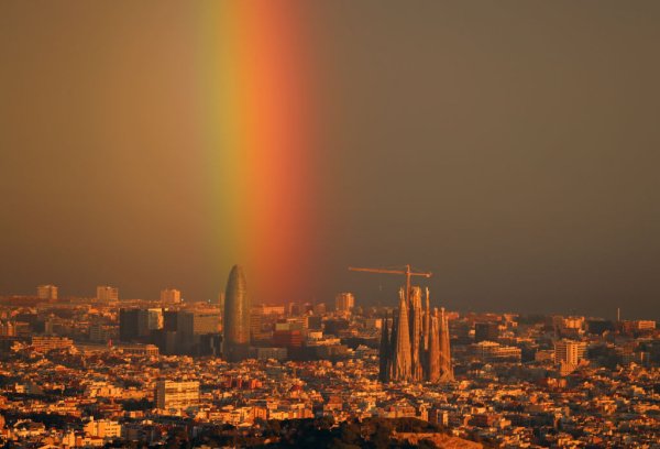 Снимка: Urbanandsport/NurPhoto via Getty Images