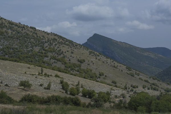 
	С. Репляна. Снимка: Н. Бочева
