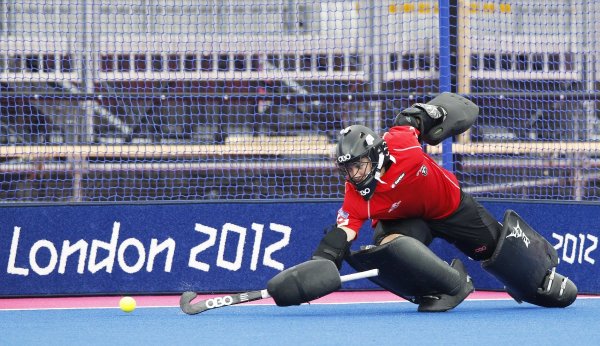 
	Вторият по големина химически концерн в света Dow Chemical се грижи за покривите на стадионите и за изкуствените полета за хокея на трева. 
