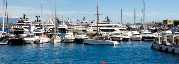 Снимки: Mandoga Media/picture alliance via Getty Images