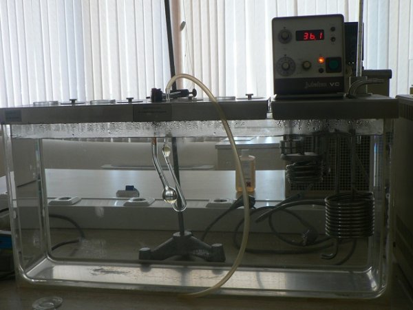 
	Снимки: Investor.bg
