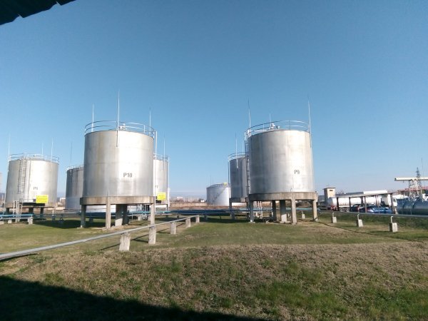 
	Снимка: Investor.bg
