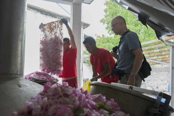 
	Работник изсипва чувал с розов цвят в дестилерията &bdquo;Интермед 1&ldquo; в село Манолово, община Павел баня, юни 2018 г. Снимка: Надежда Бочева, Investor.bg
