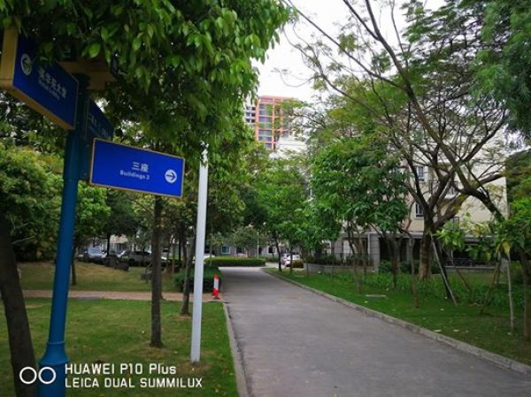 
	Алеите в кампуса. &nbsp; &nbsp; &nbsp; &nbsp; &nbsp;

	Снимки: Investor Media Group
