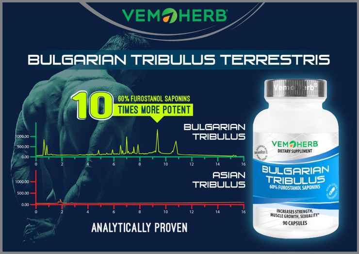 Снимка: VemoHerb