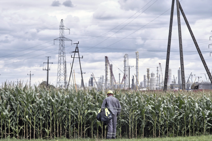 Работник гледа към посеви в нива близо до рафинерията на Orlen край Плок. Икономическата реалност се сблъсква с една от най-яростните антиимигрантски реторики на Стария континент. Снимка: Бартек Садовски/Bloomberg