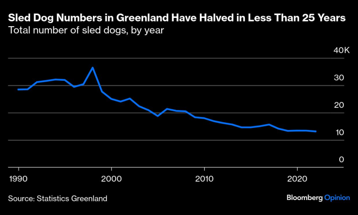 Броят на кучешките впрягове в Гренландия е намалял наполовина за по-малко от 25 години. Изображение: Bloomberg