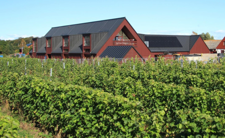 Снимка: Kullabergs Vingård Facebook page
