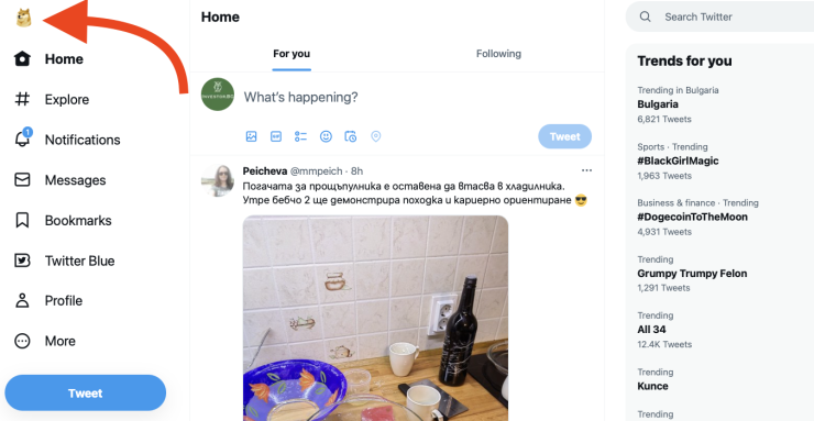 Логото на Twitter в уеб версията. Илюстрация: Investor.bg	