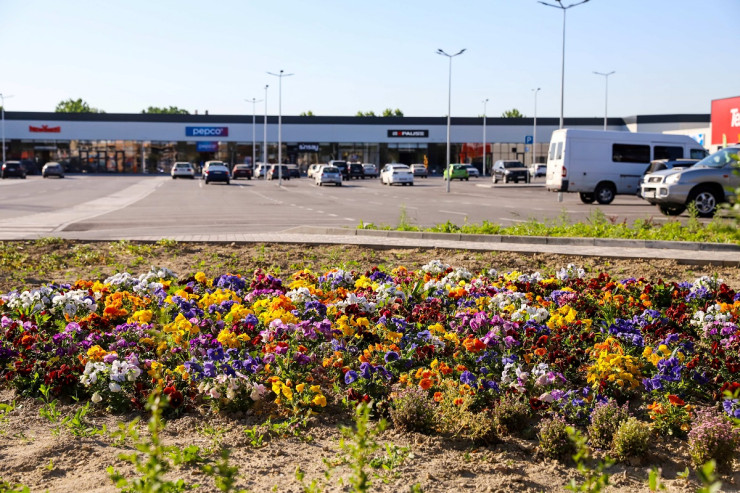 Снимка: Ритейл парк Видин Плаза