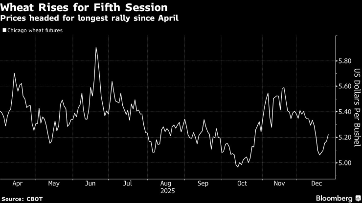 Цената на пшеницата се повишава за пета поредна сесия. Графика: Bloomberg LP