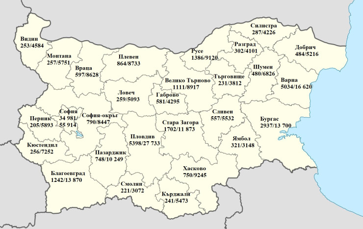 Продажби на нови и употребявани коли в България по области през 2024 г. Графика: Пътна полиция/Investor.bg