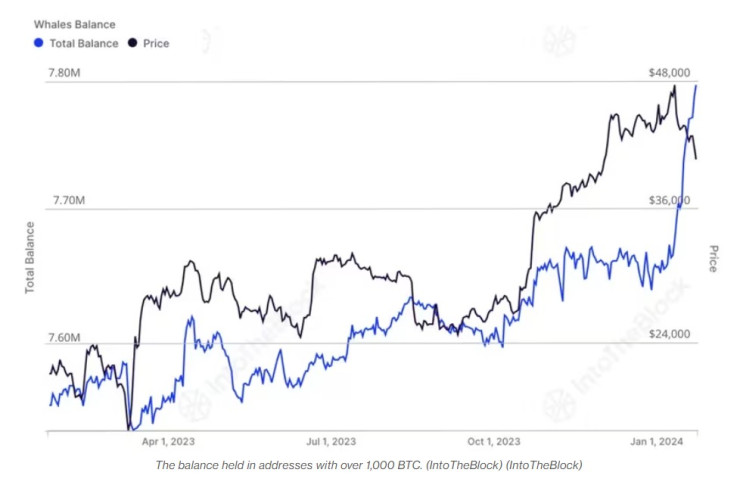 Балансът по адреси с над 1000 биткойна (синята линия) и цената на биткойна (черната линия). Графика: IntoTheBlock/CoinDesk