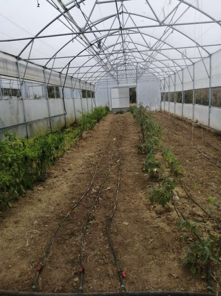 Снимка: Investor.bg