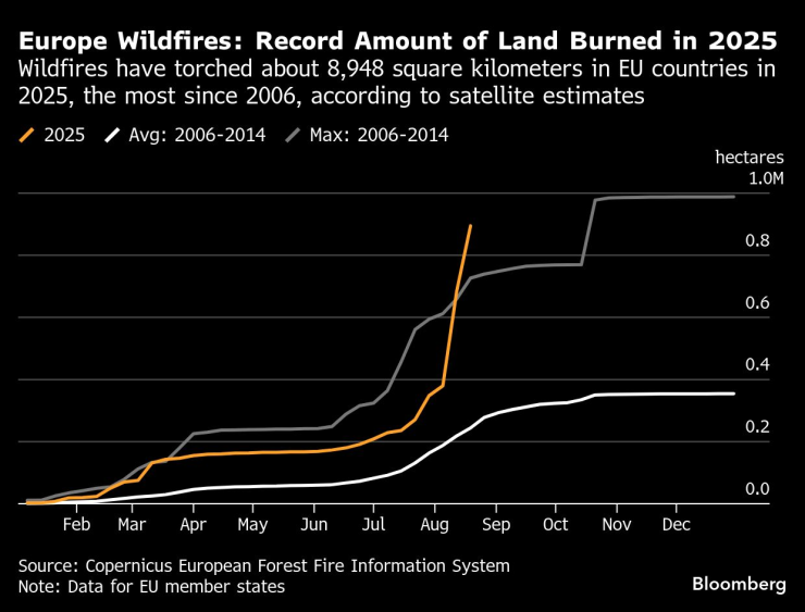 Рекордно количество земя е унищожено при пожарите в Европа през тази година. Графика: Bloomberg LP