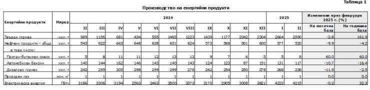 Производство на енергийни продукти през февруари. Източник: НСИ