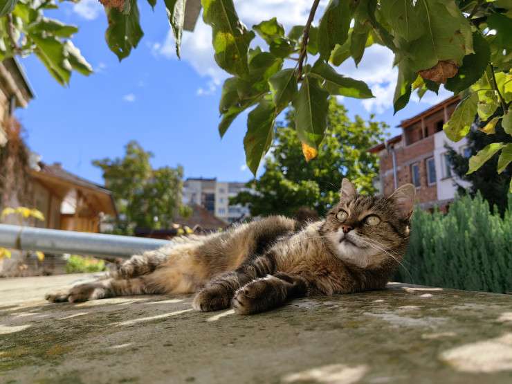 Основната 50MP камера има 10-степенна физически регулируема бленда. Снимка: Елена Кирилова/Investor Media Group