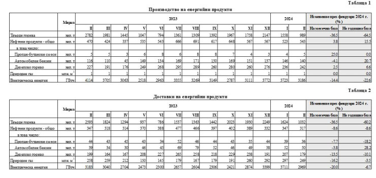 Производство и доставка на енергийни продукти в България за февруари 2024 г. Източник: НСИ