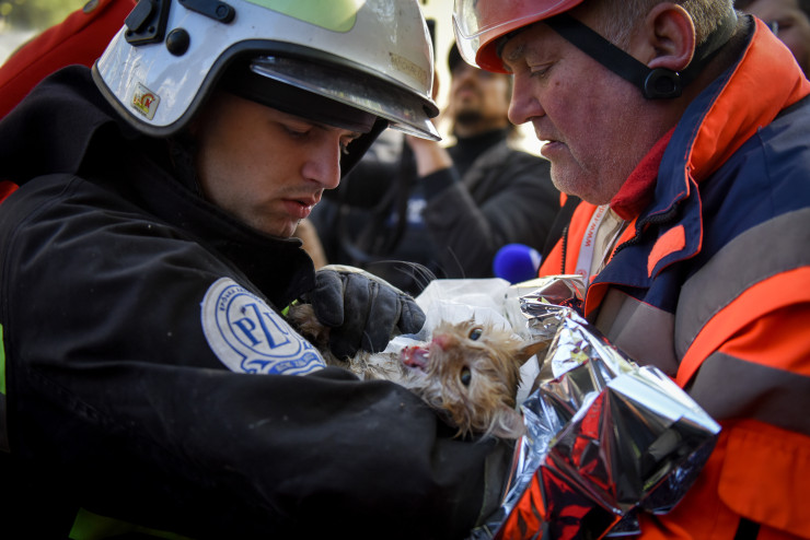Пожарникари спасяват ранено коте след атака над инфраструктура в Киев. Снимка:  EPA/OLEG PETRASYUK
