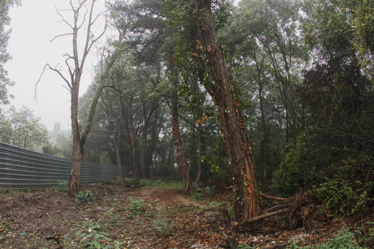 Къпалня Мария Луиза е затворена от 2005 г., а през юни т. г. собственикът ѝ заяви готовност да я възстанови. Снимка: Димитър Кьосемарлиев, Investor Media Group