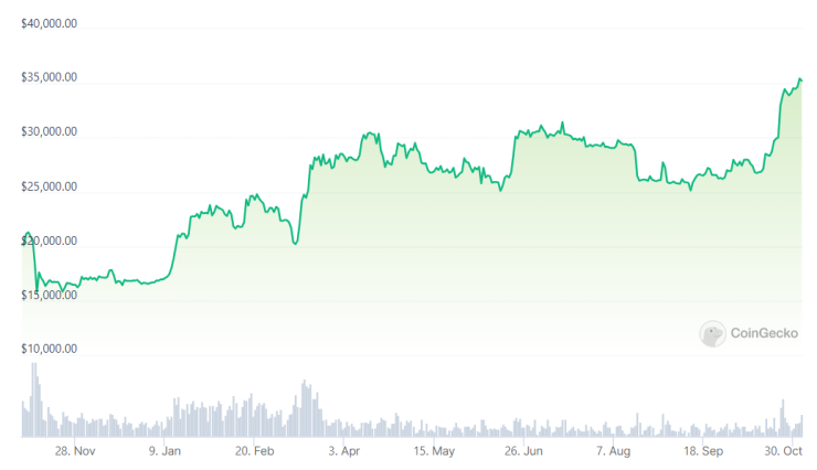 Цената на биткойна през последната година. Графика: CoinGecko