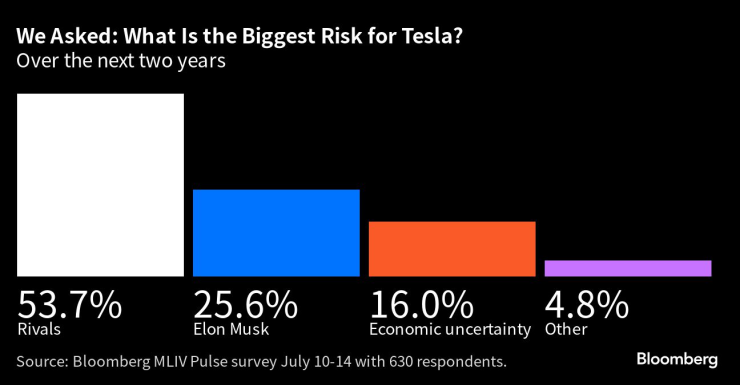 Анкета показва, че най-големият риск пред Tesla е засилващата се глобална конкуренция при електромобилите. Източник: Bloomberg/MLIV Pulse