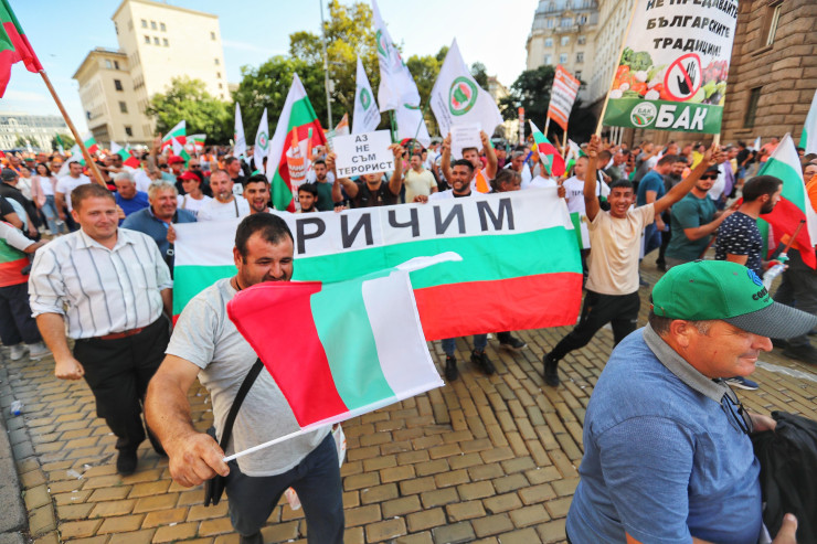 Снимка: Димитър Кьосемарлиев, Investor Media Group 