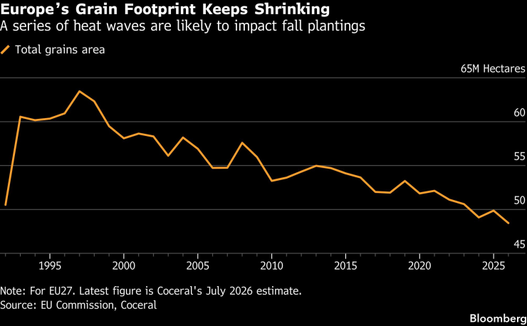 Общата площ, засадена със зърно. Графика: Bloomberg LP