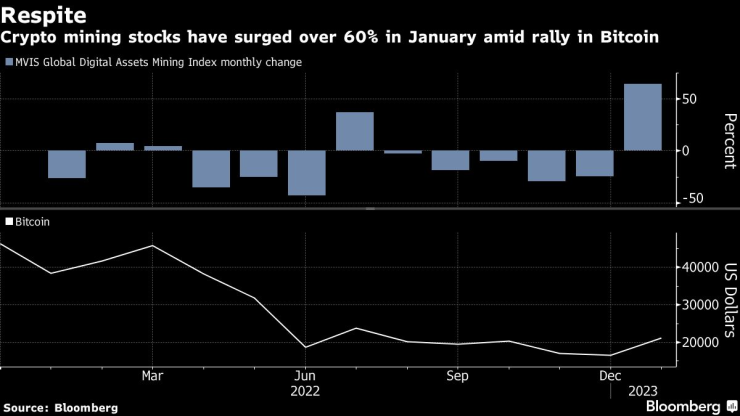Акциите на компаниите за добив на биткойни поскъпват с над 60% през януари. Графика: Bloomberg