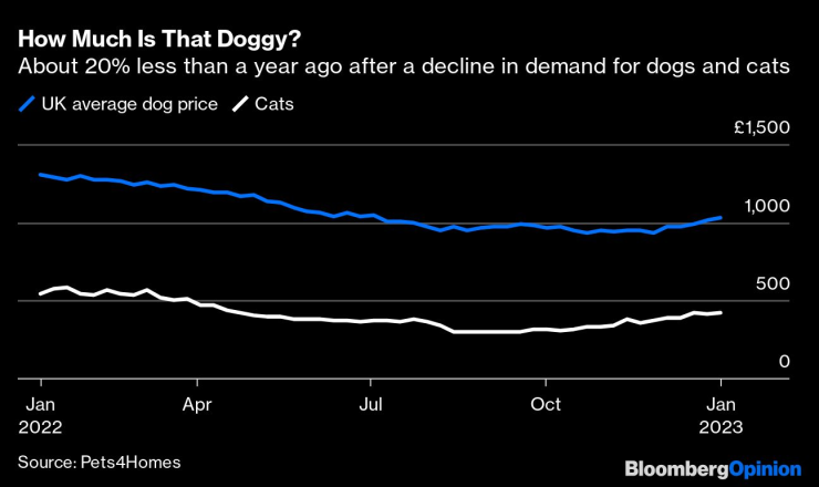 Кучетата във Великобритания струват с 20% по-малко спрямо година по-рано след спад на търсенето на домашни любимци. Графика: Bloomberg