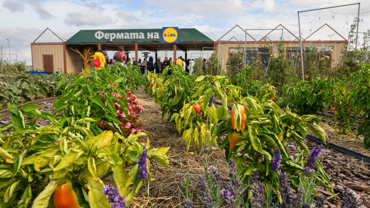 Снимка: Лидл България