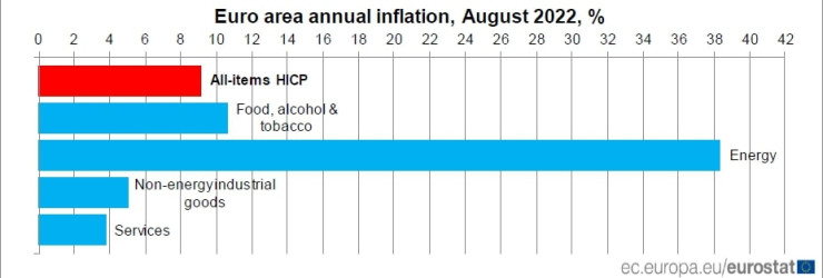 Двигатели на годишната инфлация в еврозоната през август. Източник: Евростат