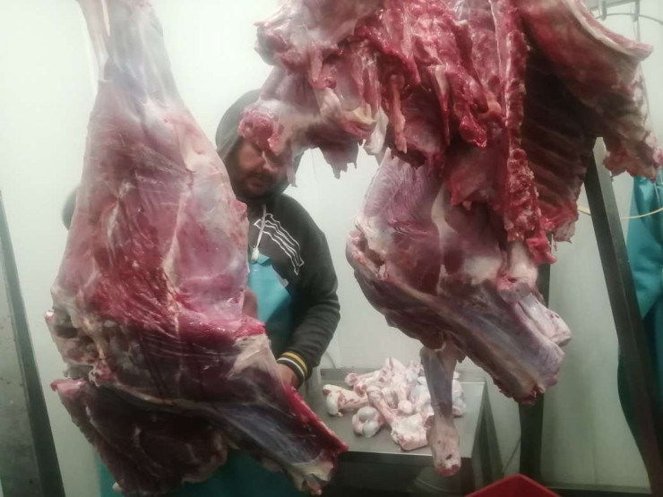 Снимка: Investor.bg