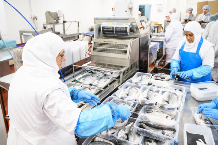 Снимка: „Вастон 2“