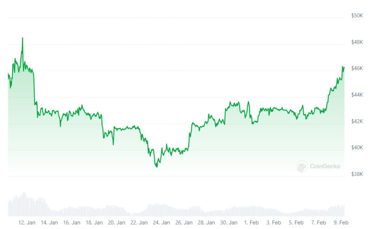 Цената на биткойна през последния месец. Графика: CoinGecko