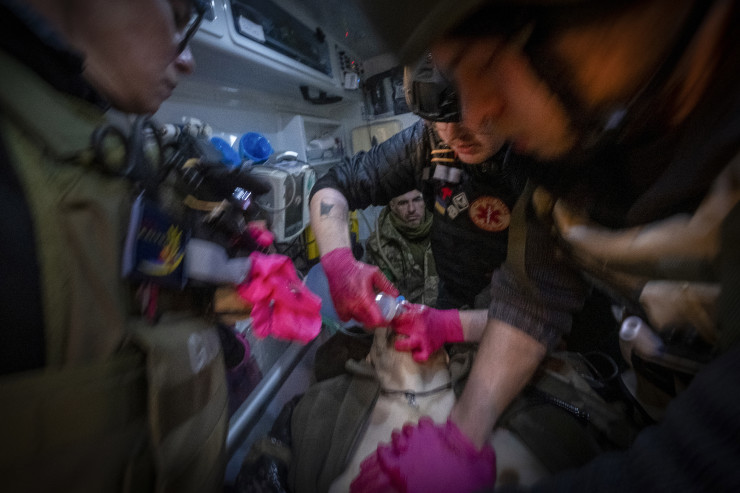 Парамедици помагат на ранен украински военен на фронтовата линия край Бахмут. Снимка: EPA/RICARDO GARCIA VILANOVA