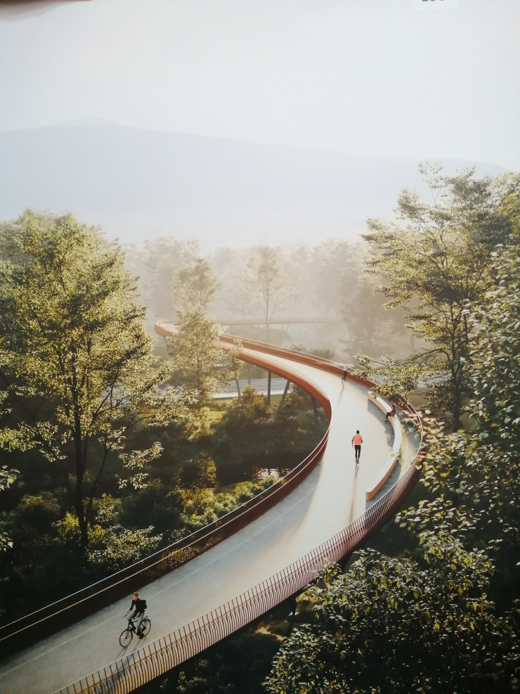 Визуализация на проекта на победителя в конкурса за пешеходен мост в Южен парк. Снимка: Investor.bg