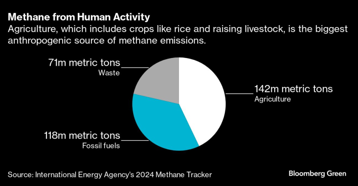 Снимка: Bloomberg L.P.