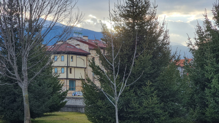 Снимка: Networking Premium