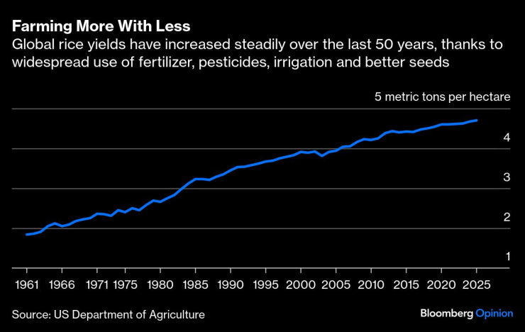 Добивът на ориз в света през последните близо 50 години (5 тона за хектар). Графика: Bloomberg LP